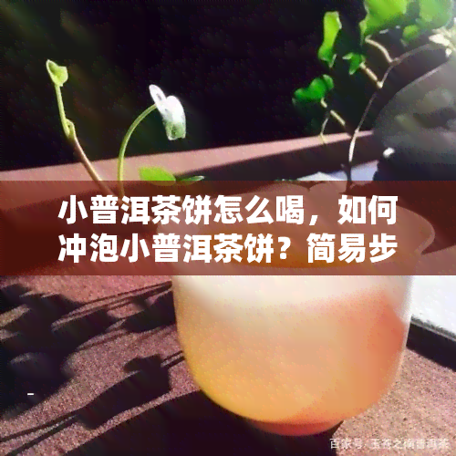 小普洱茶饼怎么喝，如何冲泡小普洱茶饼？简易步骤详解