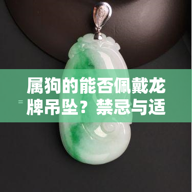 属狗的能否佩戴龙牌吊坠？禁忌与适宜人群解析