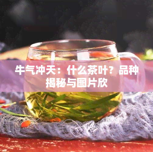 牛气冲天：什么茶叶？品种揭秘与图片欣