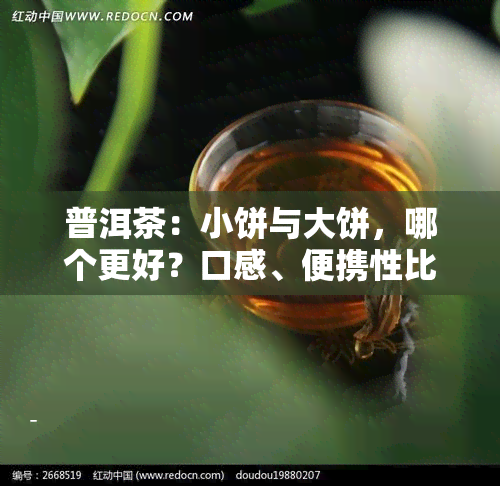 普洱茶：小饼与大饼，哪个更好？口感、便携性比较