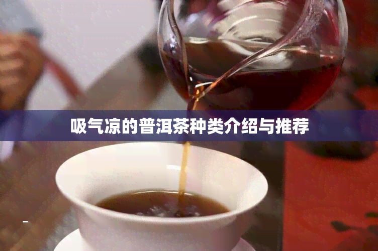 吸气凉的普洱茶种类介绍与推荐