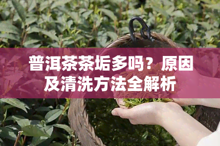 普洱茶茶垢多吗？原因及清洗方法全解析