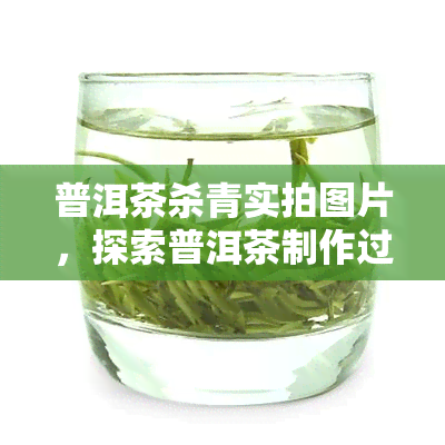 普洱茶杀青实拍图片，探索普洱茶制作过程：杀青实拍图片解析