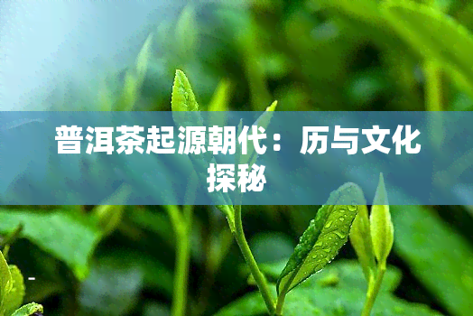 普洱茶起源朝代：历与文化探秘