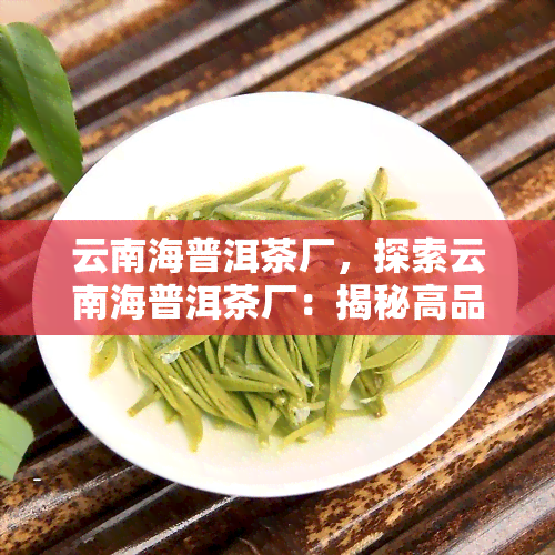 云南海普洱茶厂，探索云南海普洱茶厂：揭秘高品质茶叶的制作过程与独特魅力