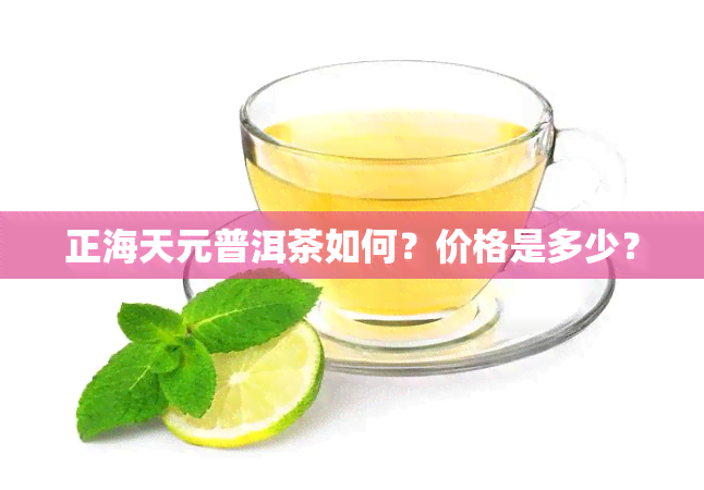 正海天元普洱茶如何？价格是多少？