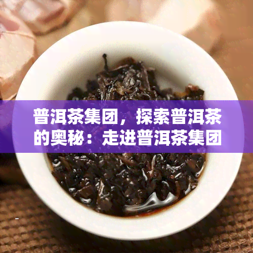 普洱茶集团，探索普洱茶的奥秘：走进普洱茶集团