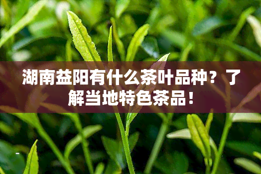 湖南益阳有什么茶叶品种？了解当地特色茶品！