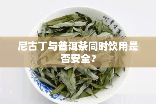 尼古丁与普洱茶同时饮用是否安全？