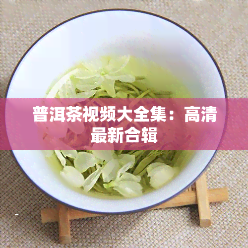 普洱茶视频大全集：高清最新合辑