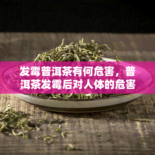 发霉普洱茶有何危害，普洱茶发霉后对人体的危害解析