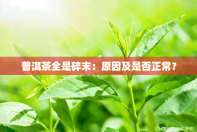 普洱茶全是碎末：原因及是否正常？