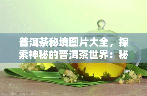 普洱茶秘境图片大全，探索神秘的普洱茶世界：秘境图片大全