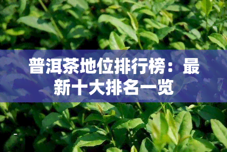 普洱茶地位排行榜：最新十大排名一览