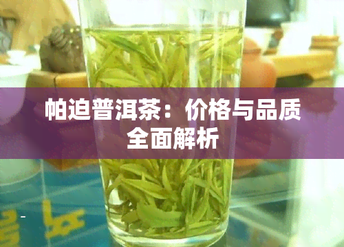 帕迫普洱茶：价格与品质全面解析