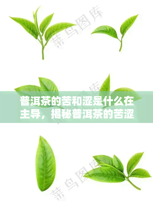 普洱茶的苦和涩是什么在主导，揭秘普洱茶的苦涩口感：主导因素探析