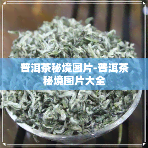 普洱茶秘境图片-普洱茶秘境图片大全