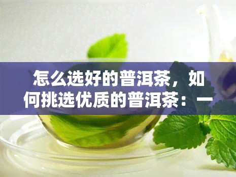 怎么选好的普洱茶，如何挑选优质的普洱茶：一份全面的指南