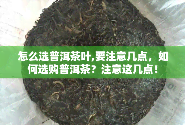 怎么选普洱茶叶,要注意几点，如何选购普洱茶？注意这几点！