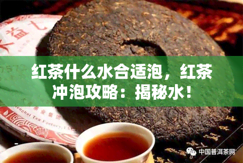 红茶什么水合适泡，红茶冲泡攻略：揭秘水！