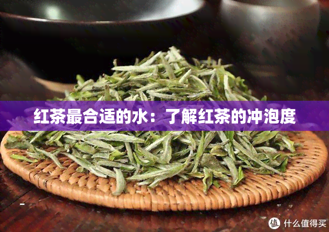 红茶最合适的水：了解红茶的冲泡度