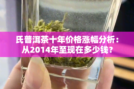 氏普洱茶十年价格涨幅分析：从2014年至现在多少钱？