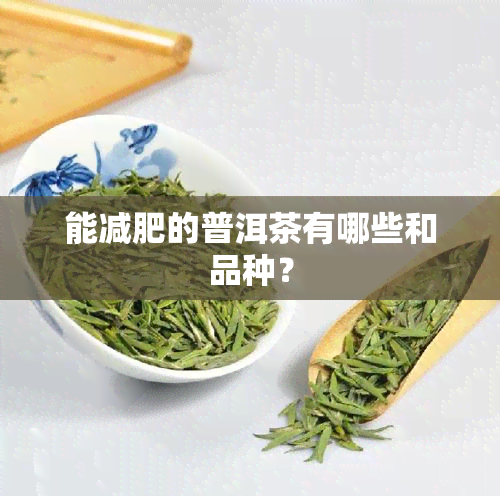 能减肥的普洱茶有哪些和品种？