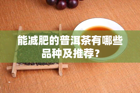 能减肥的普洱茶有哪些品种及推荐？