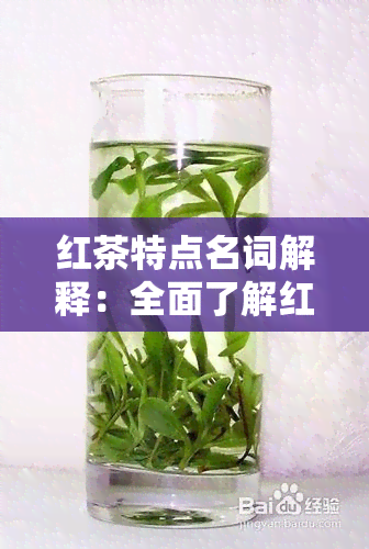 红茶特点名词解释：全面了解红茶特性与魅力