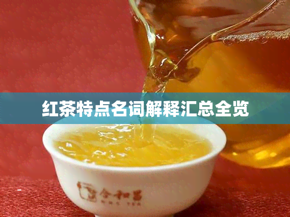 红茶特点名词解释汇总全览