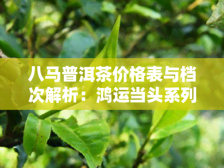 八马普洱茶价格表与档次解析：鸿运当头系列