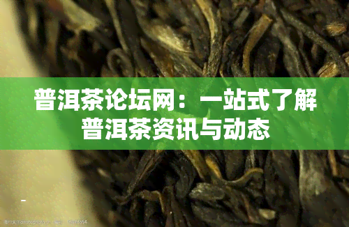 普洱茶论坛网：一站式了解普洱茶资讯与动态