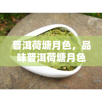 普洱荷塘月色，品味普洱荷塘月色：一场茶与自然的邂逅