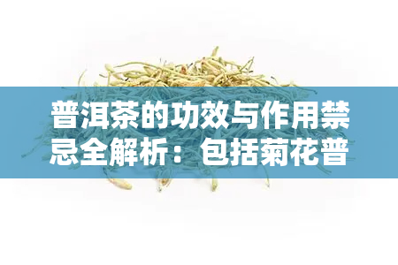 普洱茶的功效与作用禁忌全解析：包括菊花普洱茶与陈年普洱茶的禁忌