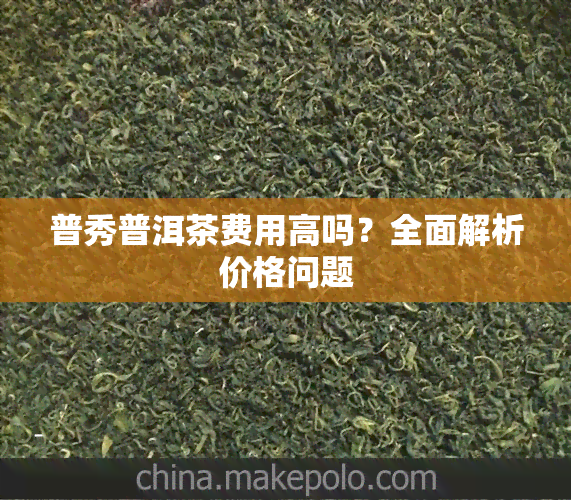 普秀普洱茶费用高吗？全面解析价格问题