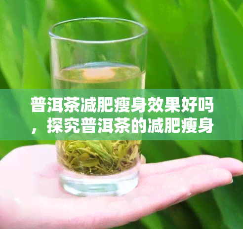 普洱茶减肥瘦身效果好吗，探究普洱茶的减肥瘦身效果：真的有效吗？