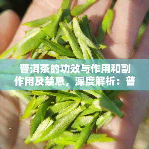 普洱茶的功效与作用和副作用及禁忌，深度解析：普洱茶的功效、作用、副作用及饮用禁忌，你需要知道的一切！