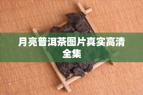 月亮普洱茶图片真实高清全集