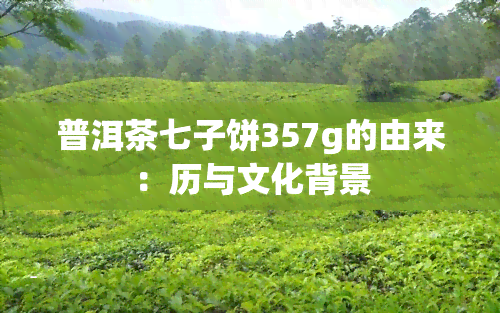 普洱茶七子饼357g的由来：历与文化背景