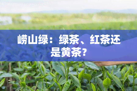 崂山绿：绿茶、红茶还是黄茶？