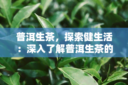 普洱生茶，探索健生活：深入了解普洱生茶的益处与饮用方法