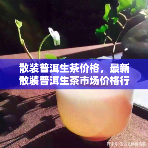 散装普洱生茶价格，最新散装普洱生茶市场价格行情一览