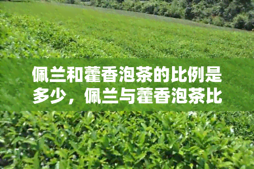 佩兰和藿香泡茶的比例是多少，佩兰与藿香泡茶比例，如何调配口感？