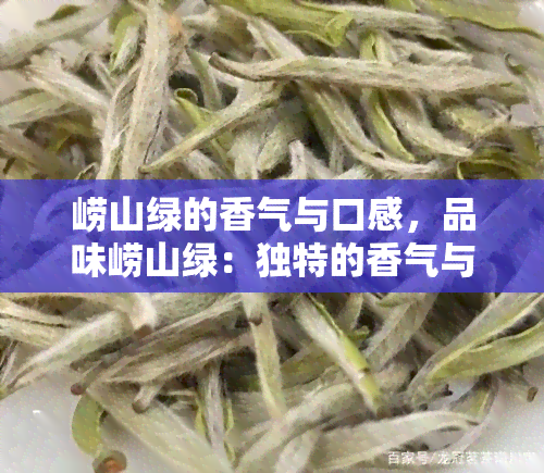 崂山绿的香气与口感，品味崂山绿：独特的香气与口感探索