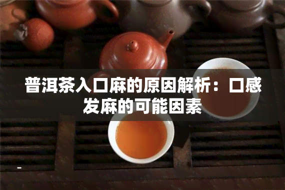 普洱茶入口麻的原因解析：口感发麻的可能因素