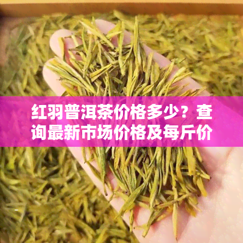 红羽普洱茶价格多少？查询最新市场价格及每斤价格