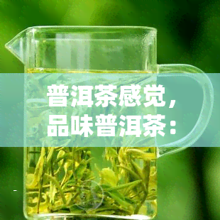 普洱茶感觉，品味普洱茶：一种独特的口感体验