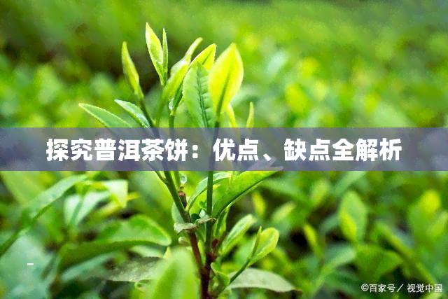 探究普洱茶饼：优点、缺点全解析