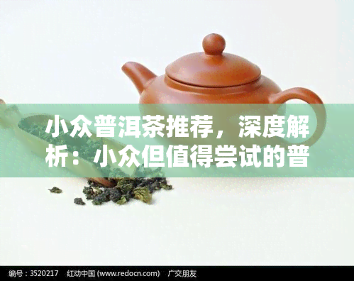 小众普洱茶推荐，深度解析：小众但值得尝试的普洱茶推荐