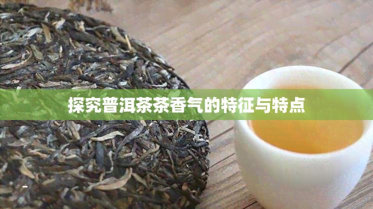 探究普洱茶茶香气的特征与特点